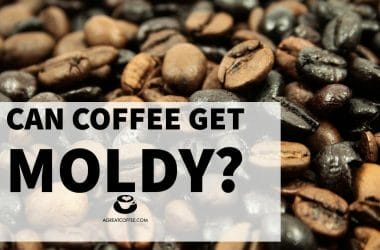 Can Coffee Get Moldy?