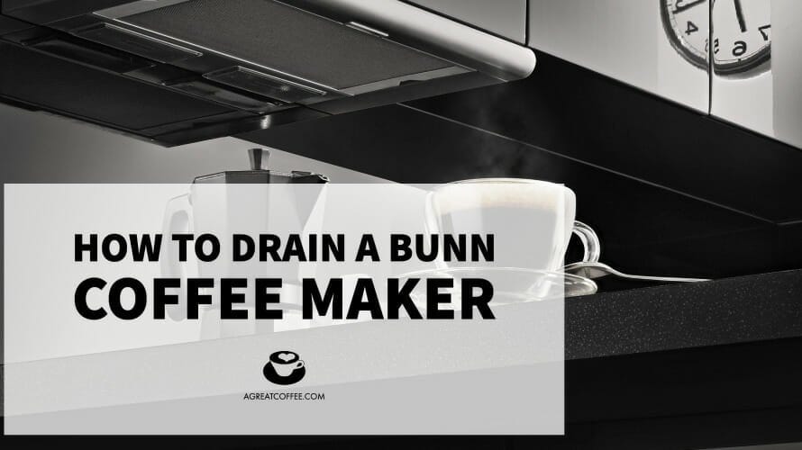 How to Drain a Bunn Coffee Maker A Great Coffee